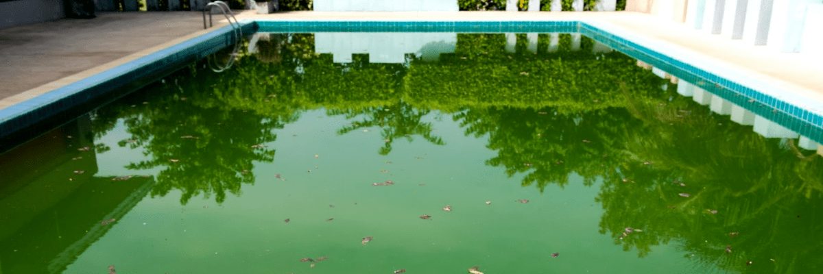 floculant piscine